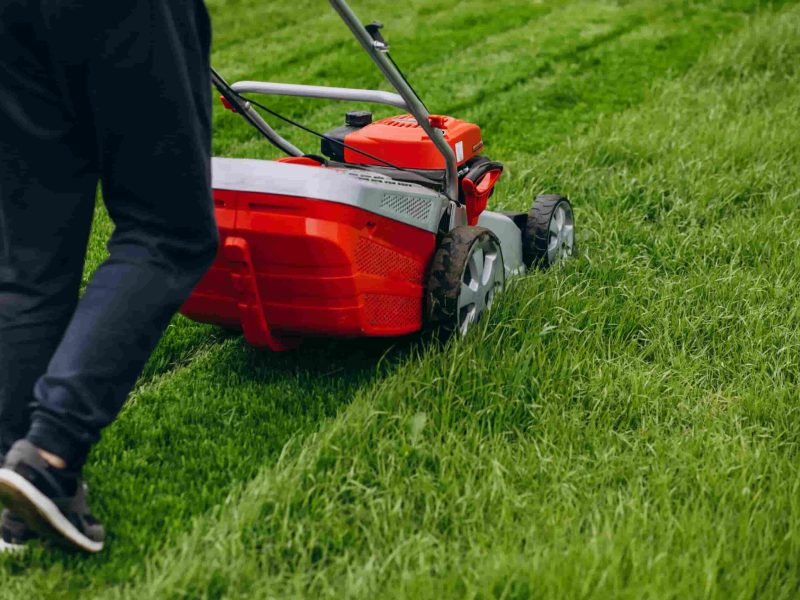 man-cutting-grass-with-lawn-mover-back-yard (1)